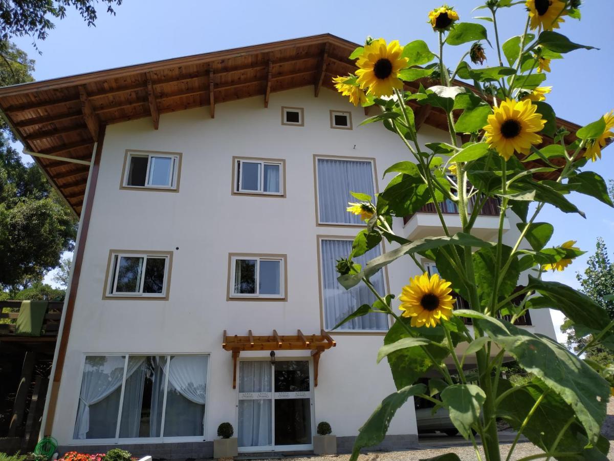 Villa Gruntal Hospedaria Treze Tilias Ngoại thất bức ảnh